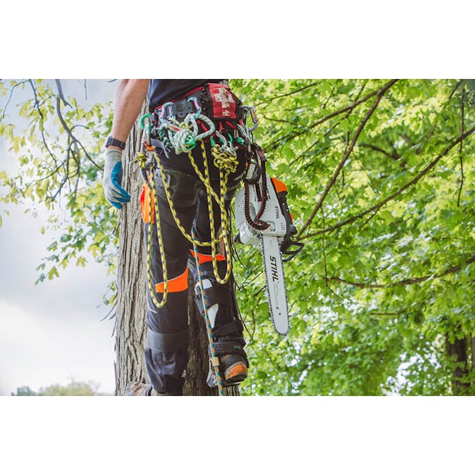 STIHL® MS 201 T C-M Chainsaw with 14 Inch Bar and Chain