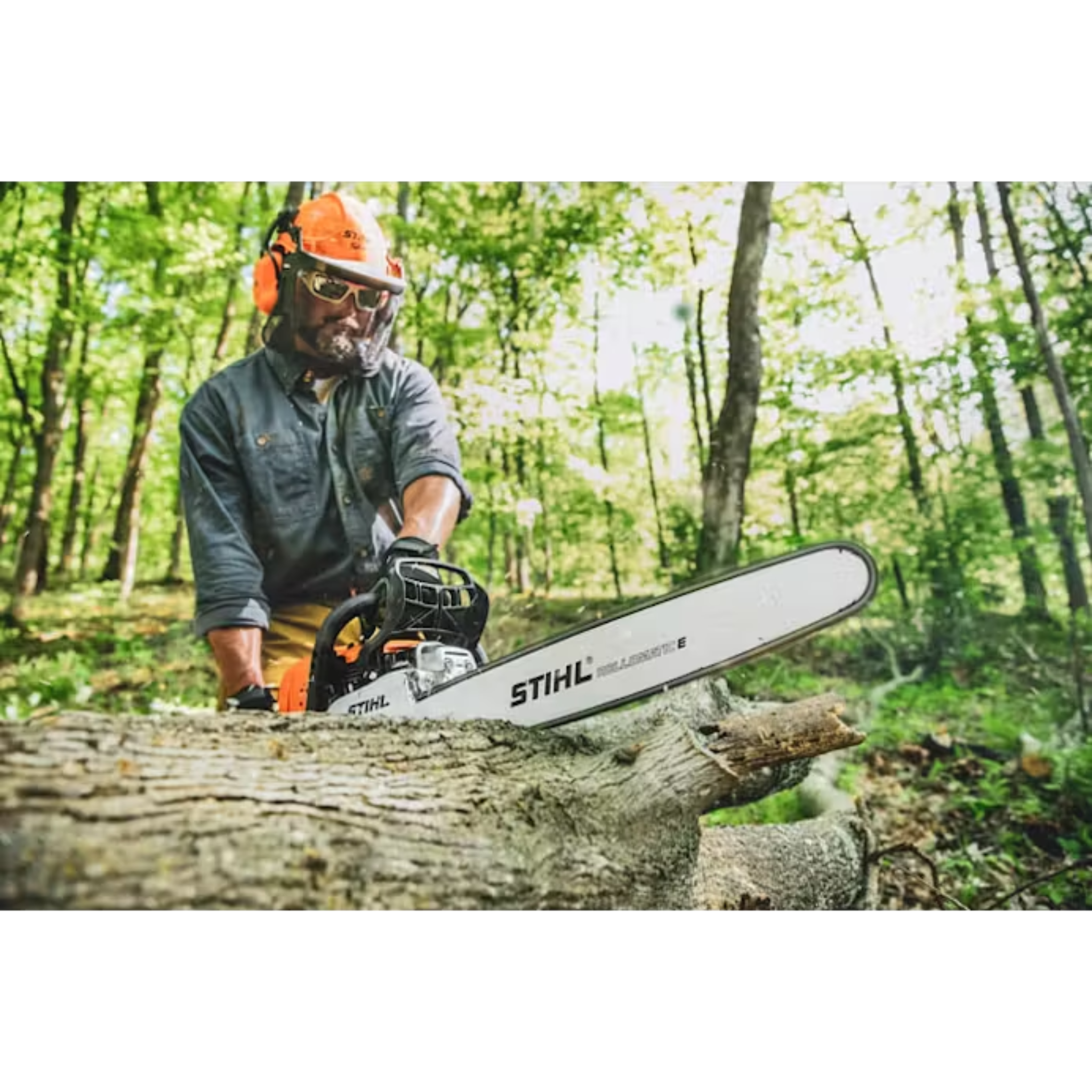 STIHL® MS 391 25 in
